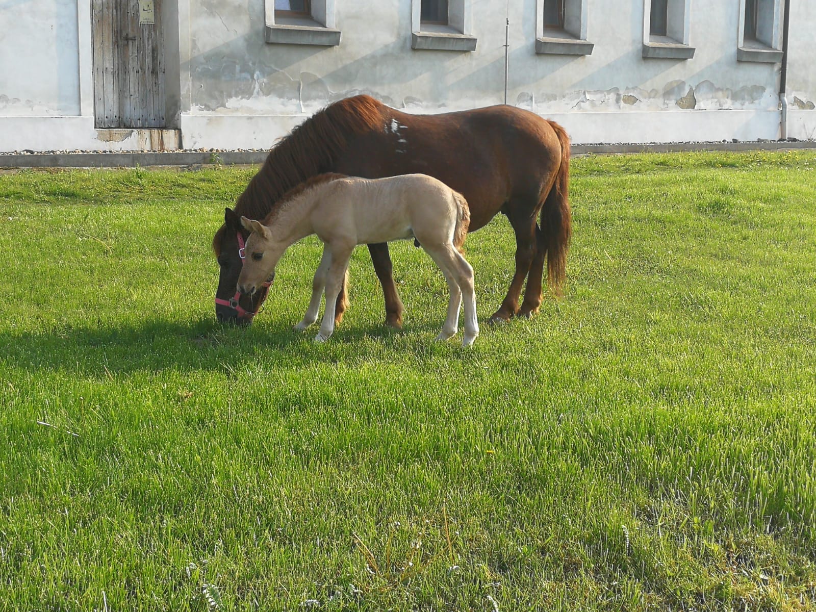 Fotoalbum (30)